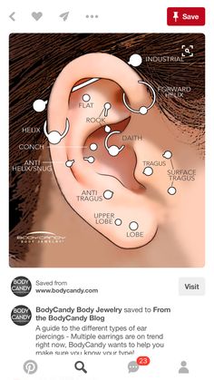 an ear is shown with different types of piercings on the top and bottom of it