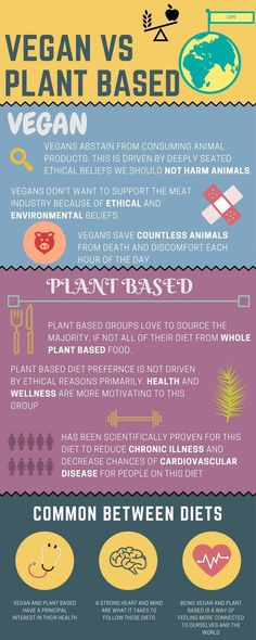 Vegan vsPlant-Based Quick Vegan, Why Vegan, Vegan Quotes, Plant Based Lifestyle, Plant Based Nutrition, Plant Based Eating, Vegan Life, Vegan Lifestyle, Vegan Diet