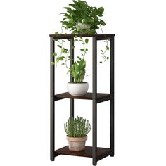 three tiered plant stand with potted plants on top and bottom shelf in the middle