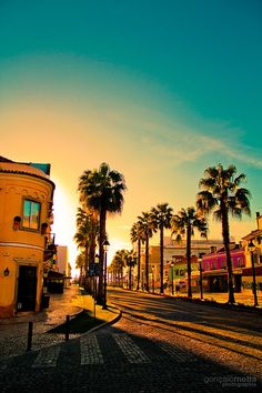 palm trees line the street as the sun sets