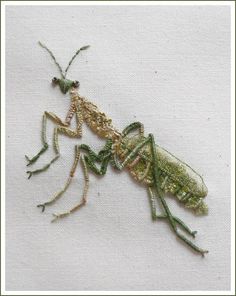 a close up of an insect on a white cloth with green and gold thread work