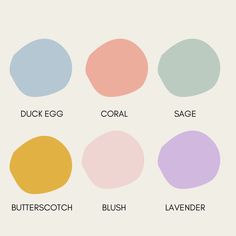 the different colors of eggs are shown in this graphic design guide, which shows how to use them