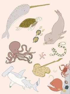 various sea animals and marine creatures are depicted in this illustration, including an octopus, squid, turtle, crab, whale, fish, jellyfish