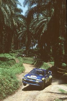 a blue car driving down a dirt road next to palm trees