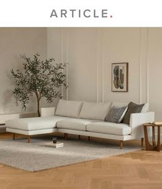 a white couch sitting on top of a hard wood floor next to a potted plant