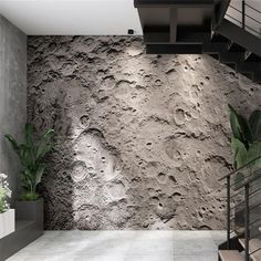 an indoor area with stairs, potted plants and concrete wallpaper in the background