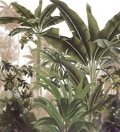 a painting of tropical plants and trees