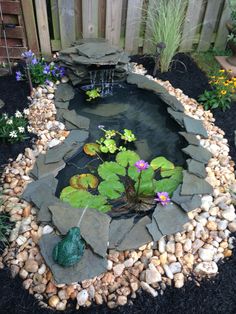 a small pond with water lilies and rocks around it, surrounded by flowers and plants