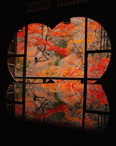 an open window with the view of autumn trees and leaves through it, in front of a dark background