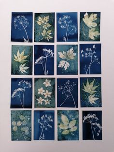 nine pressed images of leaves and flowers arranged in squares on a white surface with blue background