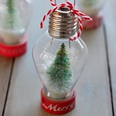 a small christmas tree in a glass jar