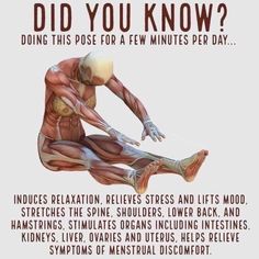 a poster with an image of a man's muscles and the words did you know?