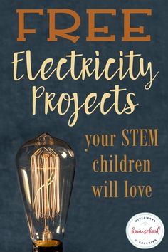 Electricity Projects, Educational Philosophy, Science Electricity, Free Electricity, Teaching Stem, Science Engineering, Math Stem, Philosophy Of Education, History Curriculum