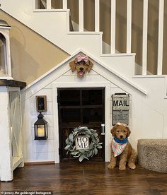 a dog is sitting in his house under the stairs