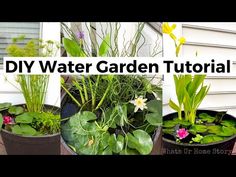 four different pots with plants in them and the words, diy water garden tutorial