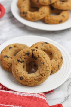 chocolate chip donuts on a white plate