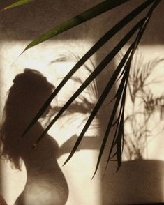 the shadow of a woman's head on a wall next to a potted plant