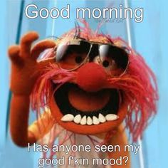 the muppet is wearing sunglasses and smiling with his hand up in the air, saying good morning has anyone seen my good film mood?