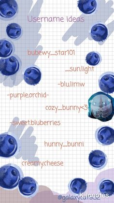 an image of blueberries with the words usernames on them in different languages