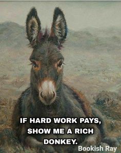 a donkey sitting in the middle of a field with a quote above it that reads if hard work pays, show me a rich donkey donkey