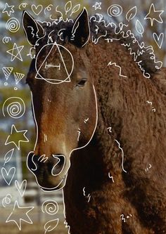 a brown horse standing on top of a dirt field