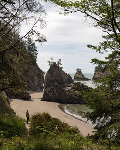 a man standing on top of a sandy beach next to the ocean near some trees