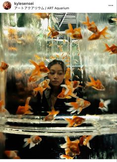 a woman is looking at goldfish in an aquarium with orange and white fish around her