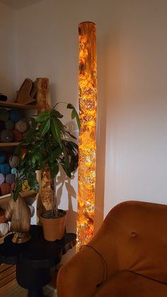 a living room filled with lots of furniture and plants on top of shelves next to a potted plant