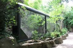 an enclosed area with trees and plants in it