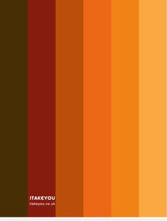 an orange and brown color scheme with the words take you on it in white letters