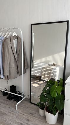 a mirror sitting on top of a wooden floor next to a potted plant and coat rack