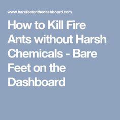 the text how to kill fire ants without harsh chemicals - bare feet on the dashboard