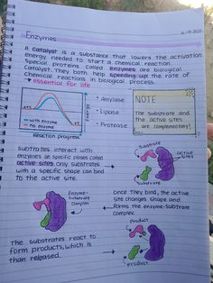 a hand holding up a notebook with notes on the topic of science and technology in it