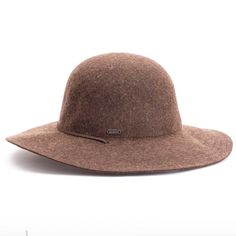 Tegan Wide Brim Hat – Pistil Designs Fall Short Brim Fur Felt Hat, Fur Felt Hat With Short Brim For Fall, Fall Fur Felt Hat With Short Brim, Wide Brim Fur Felt Fedora For Fall, Fall Wide Brim Fur Felt Fedora, Brown Wool Fedora With Curved Brim, Brown Fur Felt Fedora Hat, Brown Wool Fedora, Brown Wide Brim Cloche Hat