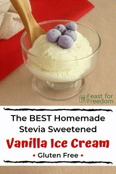 the best homemade stevia sweetened vanilla ice cream