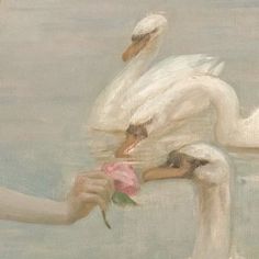 a painting of a woman holding a rose with two swans in the background