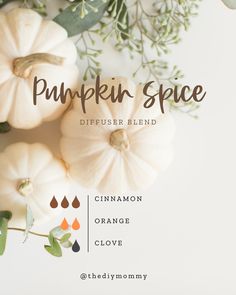 Essential Oils for Fall: Best Diffuser Blend Recipes | The DIY Mommy Essential Oil Candle Blends, Fall Essential Oil Blends, Best Diffuser, Tangerine Essential Oil, Recipe Pumpkin