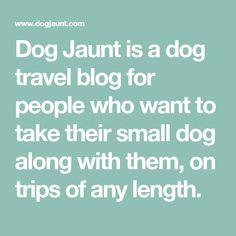 a quote that reads dog jaunt is a dog travel blog for people who want to take their small dog along with them, on trips of any length