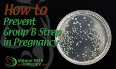 the words how to prevent bpb step - by - step pregnancy are in front of an image of a petri dish