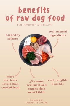 the benefits of raw dog food for dogs and their owners info sheet on how to use it