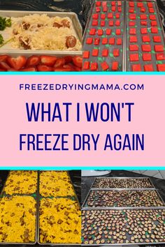 what i won't freeze dry again is the best way to keep food fresh