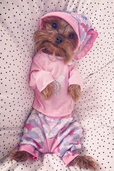 a small dog dressed in pajamas and a pink hat