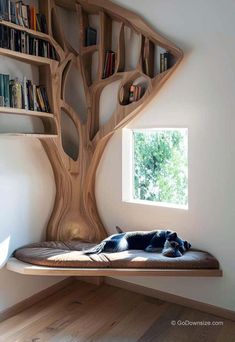 a dog laying on a bed in front of a book shelf with bookshelves