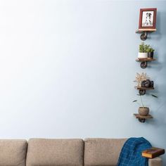 a living room with a couch and shelves on the wall