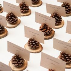 pine cones and place cards are on display