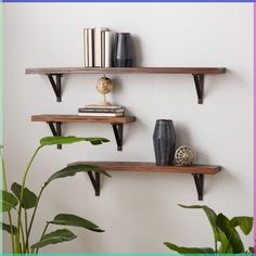 three wooden shelves with books and vases on them against a white wall next to a potted plant