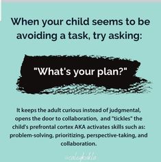 a poster with the words, when your child seems to be avoiding a task, try asking what's your plan?