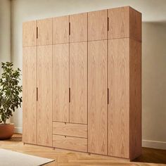 a large wooden cabinet next to a potted plant in a room with hardwood floors