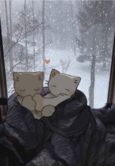 two cats cuddle together on a blanket in front of a window with snow falling