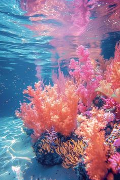 an underwater view of corals and seaweed in the ocean